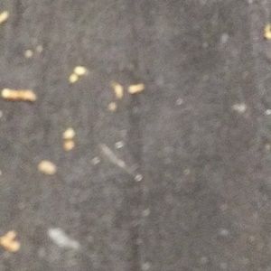 Meet your Posher, Cori